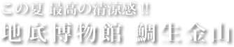 金山