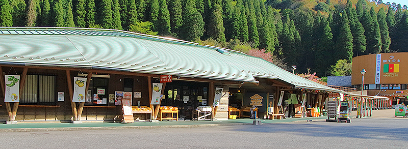 道の駅 鯛生金山